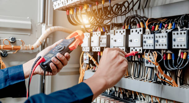 Best Electric Panel Repair  in Virginia, MN